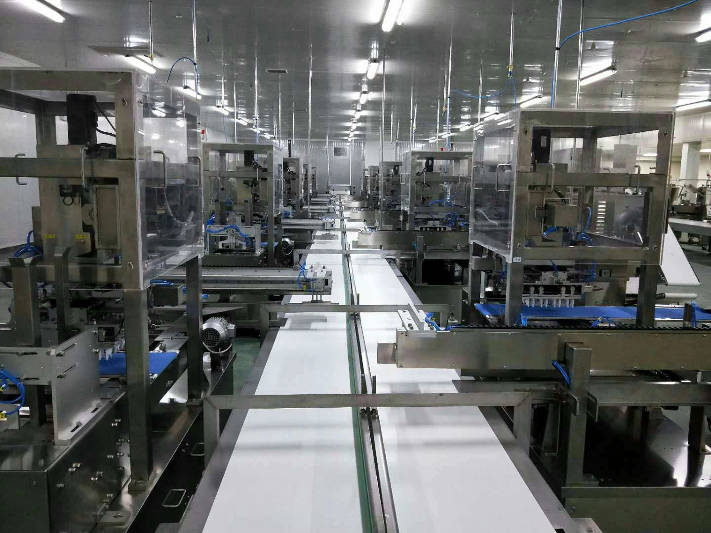 Dumpling Production Line-3 Dumpling Production Line-3